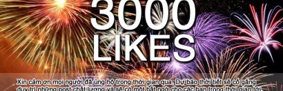 Facebook 3000 likes