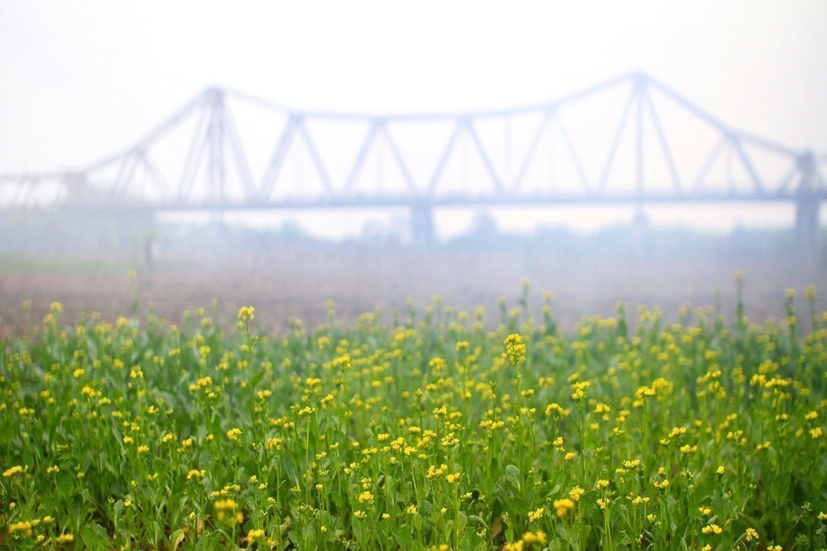 Thời tiết Hà Nội