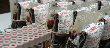 Hành trình đỏ: Hành trình nhân ái vận động hiến máu xuyên Việt