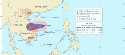 Bão số 8 gây mưa to cho miền Trung