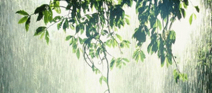 Chiều tối nay Bắc Bộ có mưa rào và dông