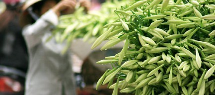 Giữa tuần Hà Nội có thể hửng nắng