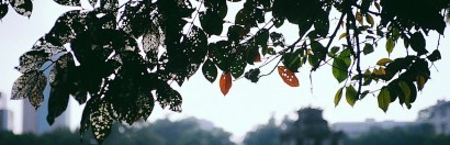 Bắc Bộ rét đậm rét hại kéo dài từ ngày 23/1 tới 27/1