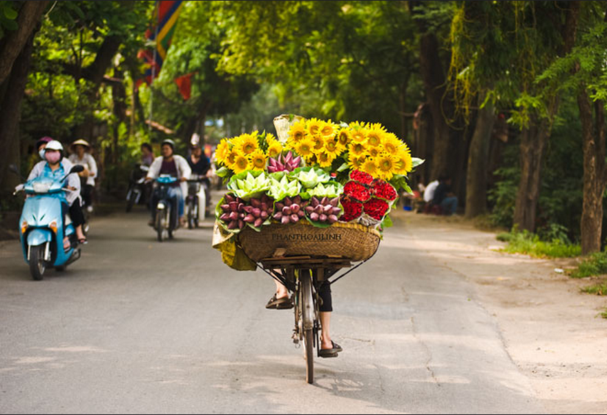 Thêm một đợt không khí lạnh tăng cường nhẹ, Bắc Bộ tiếp tục có mưa từ đêm 31/1