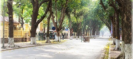 Bắc Bộ đón thêm đợt gió mùa Đông Bắc mới từ ngày 14/12