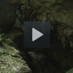 Video khám phá vườn quốc gia Phong Nha-Kẻ Bàng